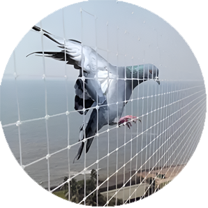 UV-Protected Light Shields for Open Areas | AS Enterprises Solution |
								8051800912 | Vapi, Mumbai